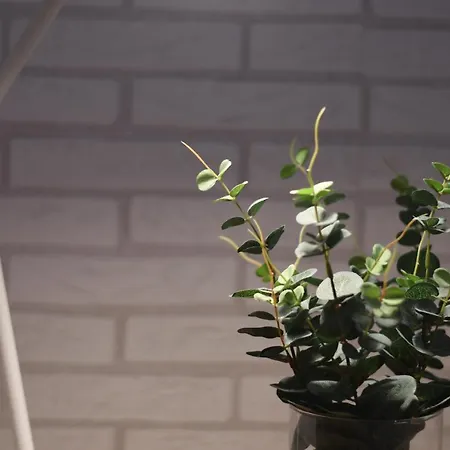 Near The - 3bed - 2bath - Wifi Διαμέρισμα *