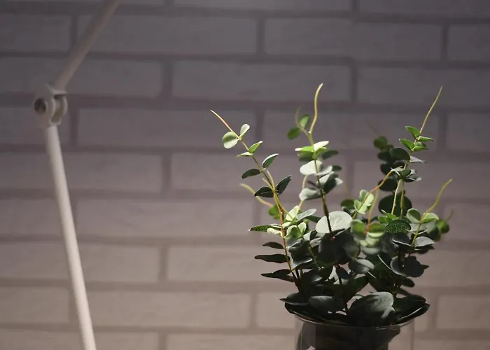 Near The - 3bed - 2bath - Wifi Appartement *